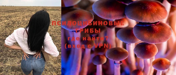 гашик Ханты-Мансийск