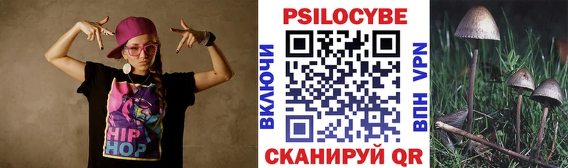 Купить где  Обь  Галлюциногенные грибы Cubensis 